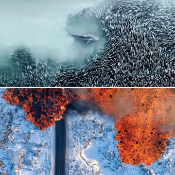 Baleias, vulcões e desertos vistos do céu: veja as fotos vencedoras de concurso mundial