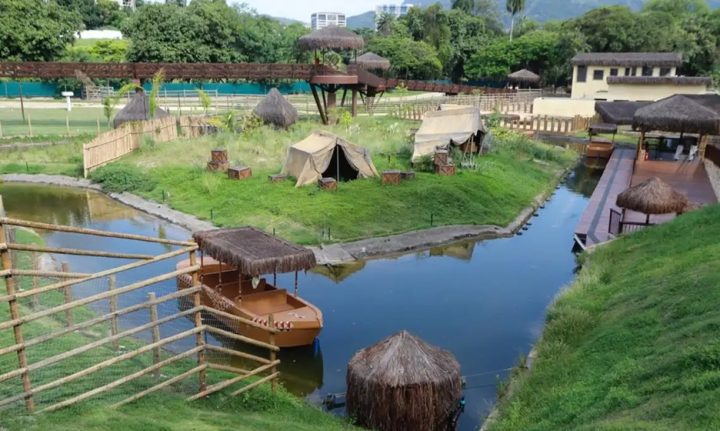 Gripe aviária: galinhas-d’angola e pavões morrem no BioParque do Rio
