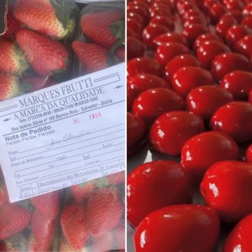 Popularidade do ‘morango do amor’ aumenta preço da fruta em Salvador