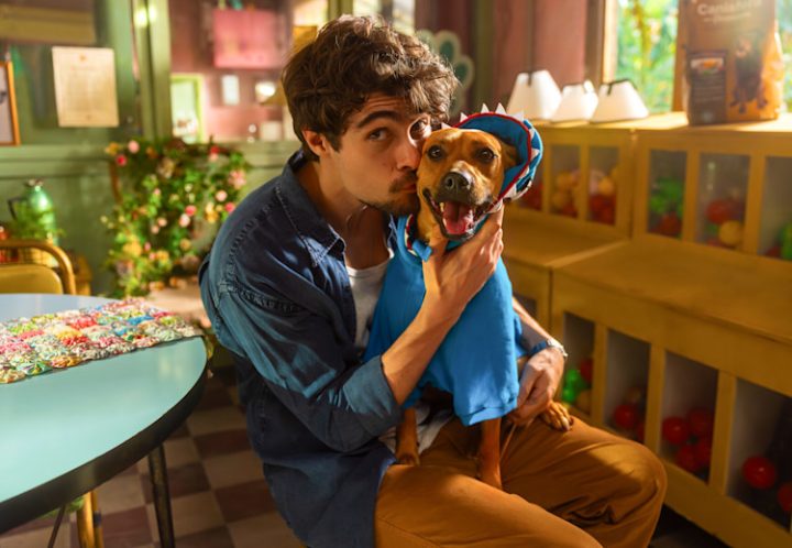 No Dia do Vira-Lata, Netflix anuncia filme em homenagem ao cachorro caramelo