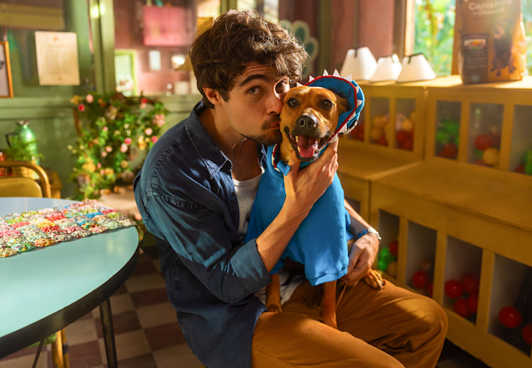 No Dia do Vira-Lata, Netflix anuncia filme em homenagem ao cachorro caramelo
