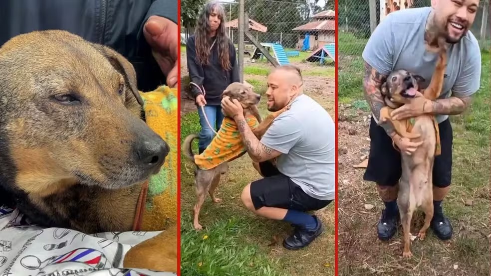 Após 13 meses separados por enchente no RS, cão e tutor têm reencontro emocionante