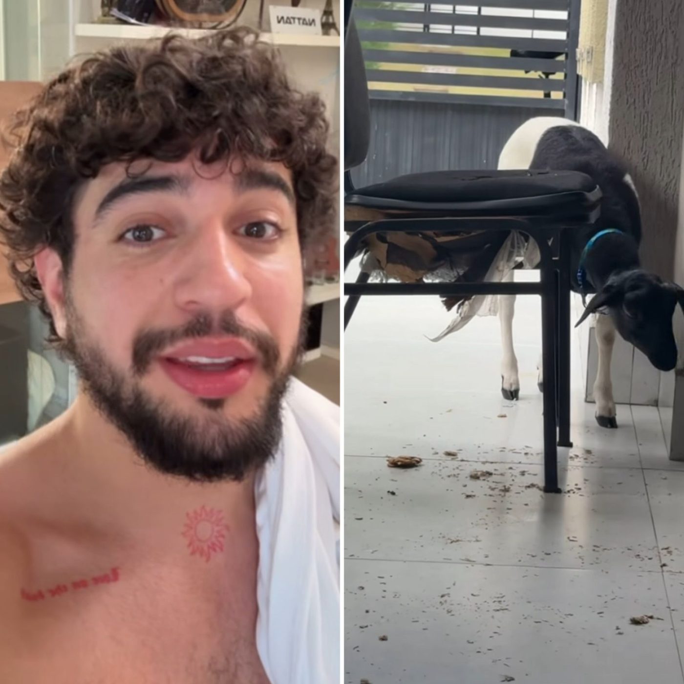Nattan mostra ‘caos’ em casa após ganhar bode na Bahia: ‘Trabalho demais’