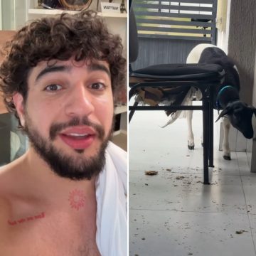 Nattan mostra ‘caos’ em casa após ganhar bode na Bahia: ‘Trabalho demais’