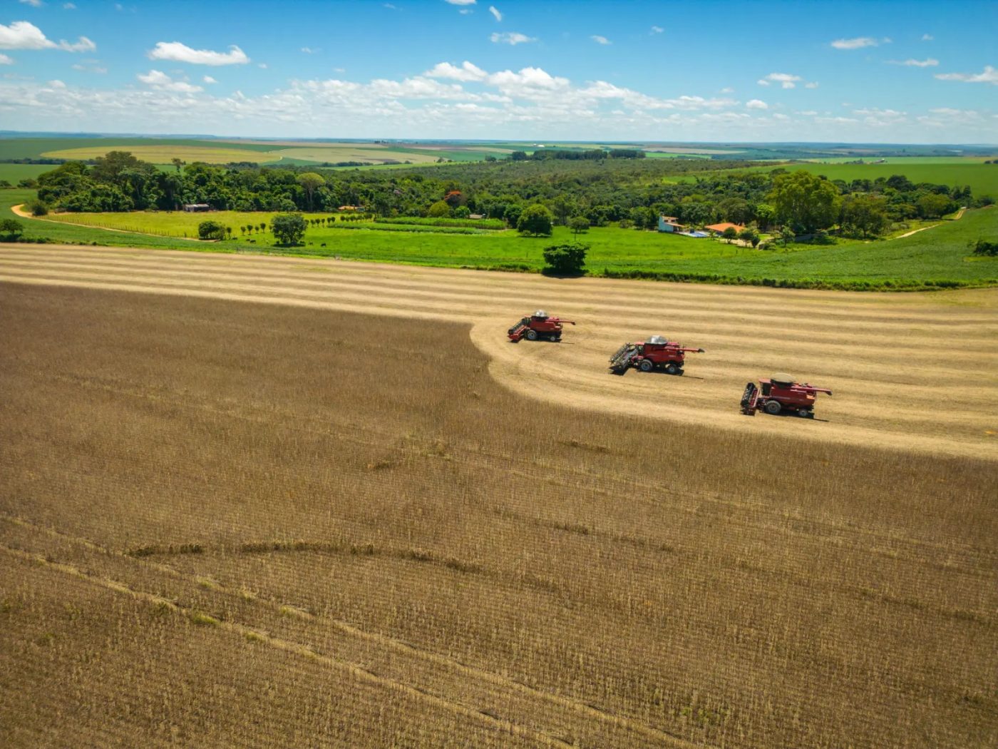 Saiba qual foi a fazenda baiana vendida por mais de R$ 140 milhões — e onde ela fica