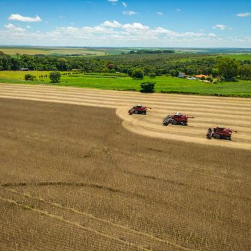 Saiba qual foi a fazenda baiana vendida por mais de R$ 140 milhões — e onde ela fica