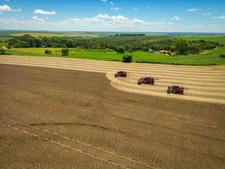 Saiba qual foi a fazenda baiana vendida por mais de R$ 140 milhões — e onde ela fica