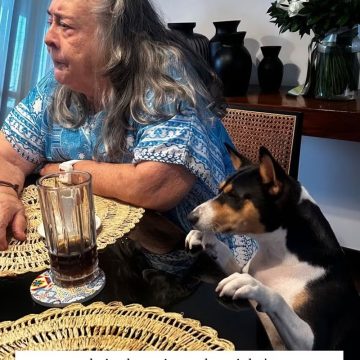 Amiga revela como está Sandra Gadelha, mãe de Preta Gil, em meio ao luto: “Ela está bem amparada”