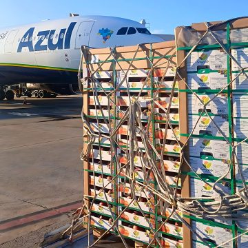 Azul Cargo transporta quase 100 toneladas de frutas do Vale São Francisco para Portugal em apenas um mês