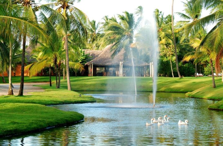 Tivoli Ecoresort celebra 40 anos com shows de Tatau, Timbalada e Fafá de Belém em Praia do Forte