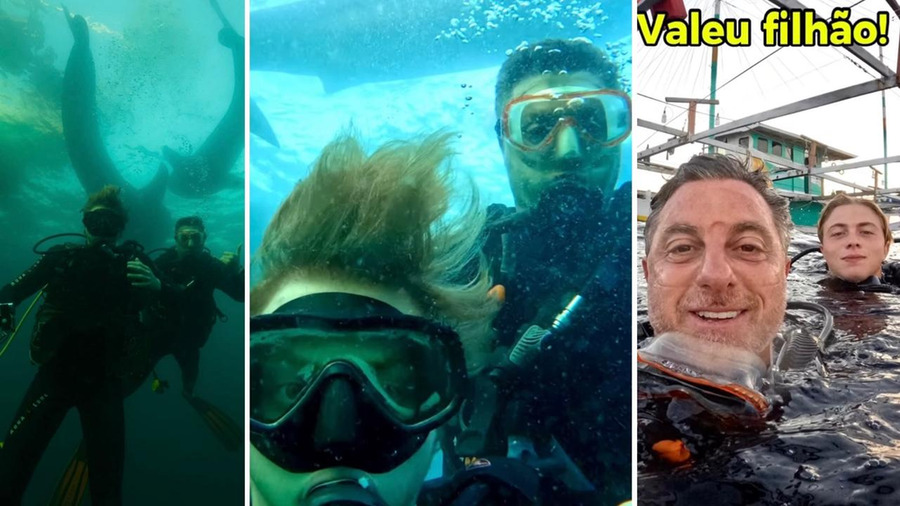 Luciano Huck e Benício mergulham com tubarões e brincam com Angélica: ‘Preocupando a mãe’