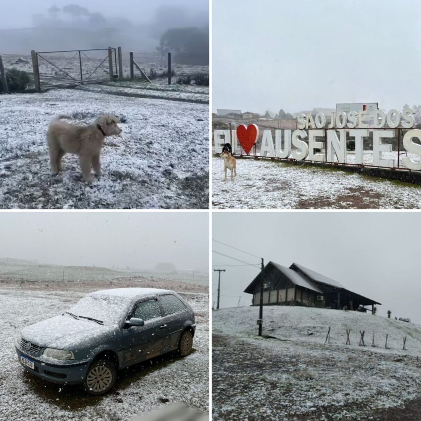 Nevou no Brasil! Serra do RS registra nevasca intensa e temperaturas abaixo de 0°C