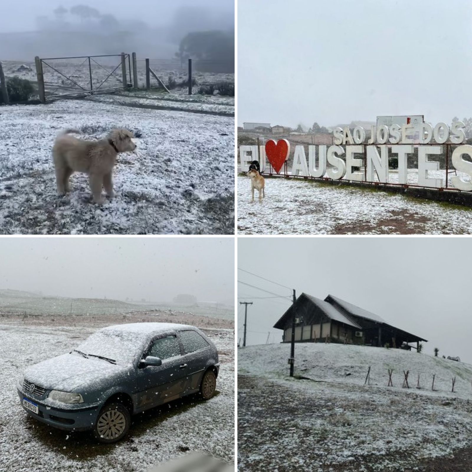 Nevou no Brasil! Serra do RS registra nevasca intensa e temperaturas abaixo de 0°C