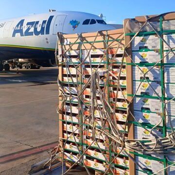 Efeito morango do amor? Azul Cargo registra crescimento no transporte da fruta