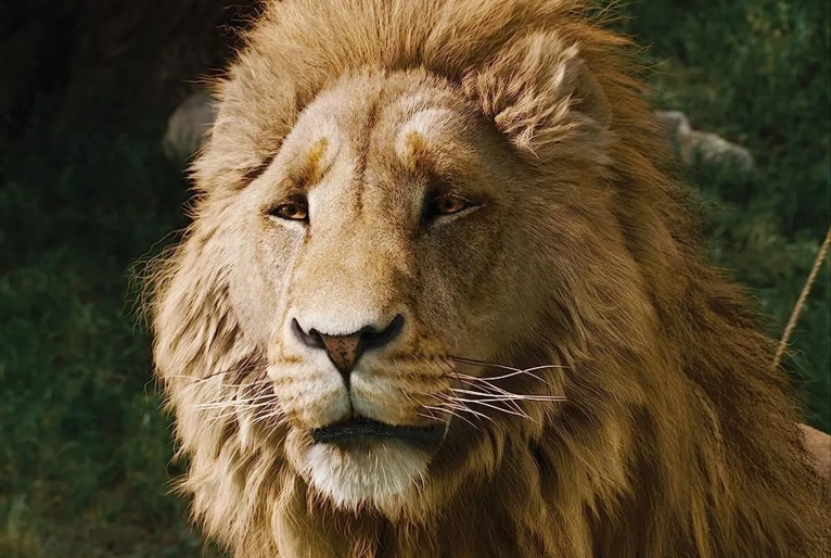 De volta a Nárnia: veja as primeiras imagens de ‘O Sobrinho do Mago’, novo filme da saga