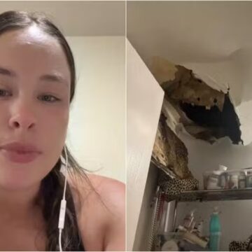 Em pânico, moradora abandona apartamento de luxo em NY após teto desabar e liberar ‘milhares de baratas’