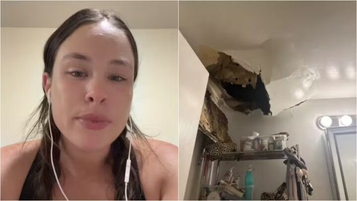 Em pânico, moradora abandona apartamento de luxo em NY após teto desabar e liberar ‘milhares de baratas’