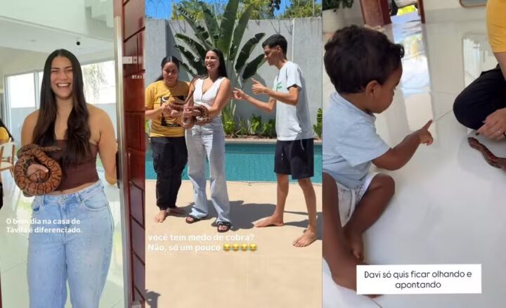 Távila Gomes mostra Luva de Pedreiro e filho com medo de cobra: ‘Era doida para criar uma’