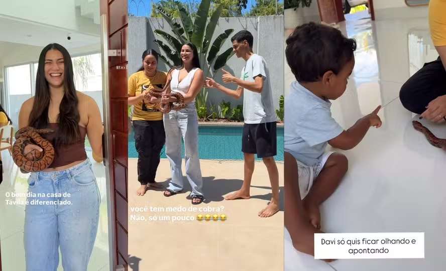 Távila Gomes mostra Luva de Pedreiro e filho com medo de cobra: ‘Era doida para criar uma’