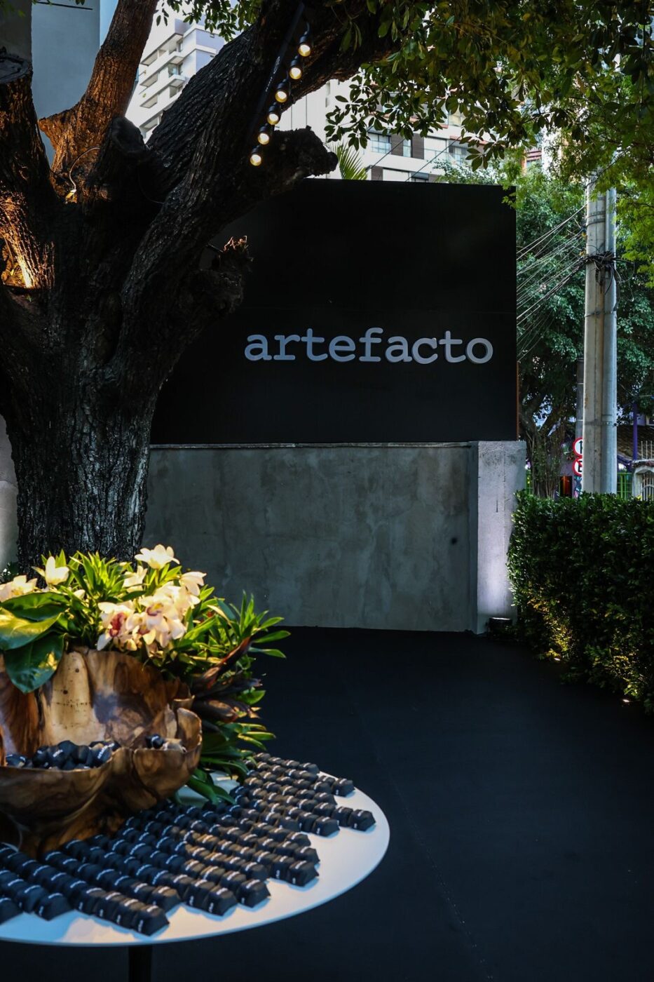 Artefacto Salvador