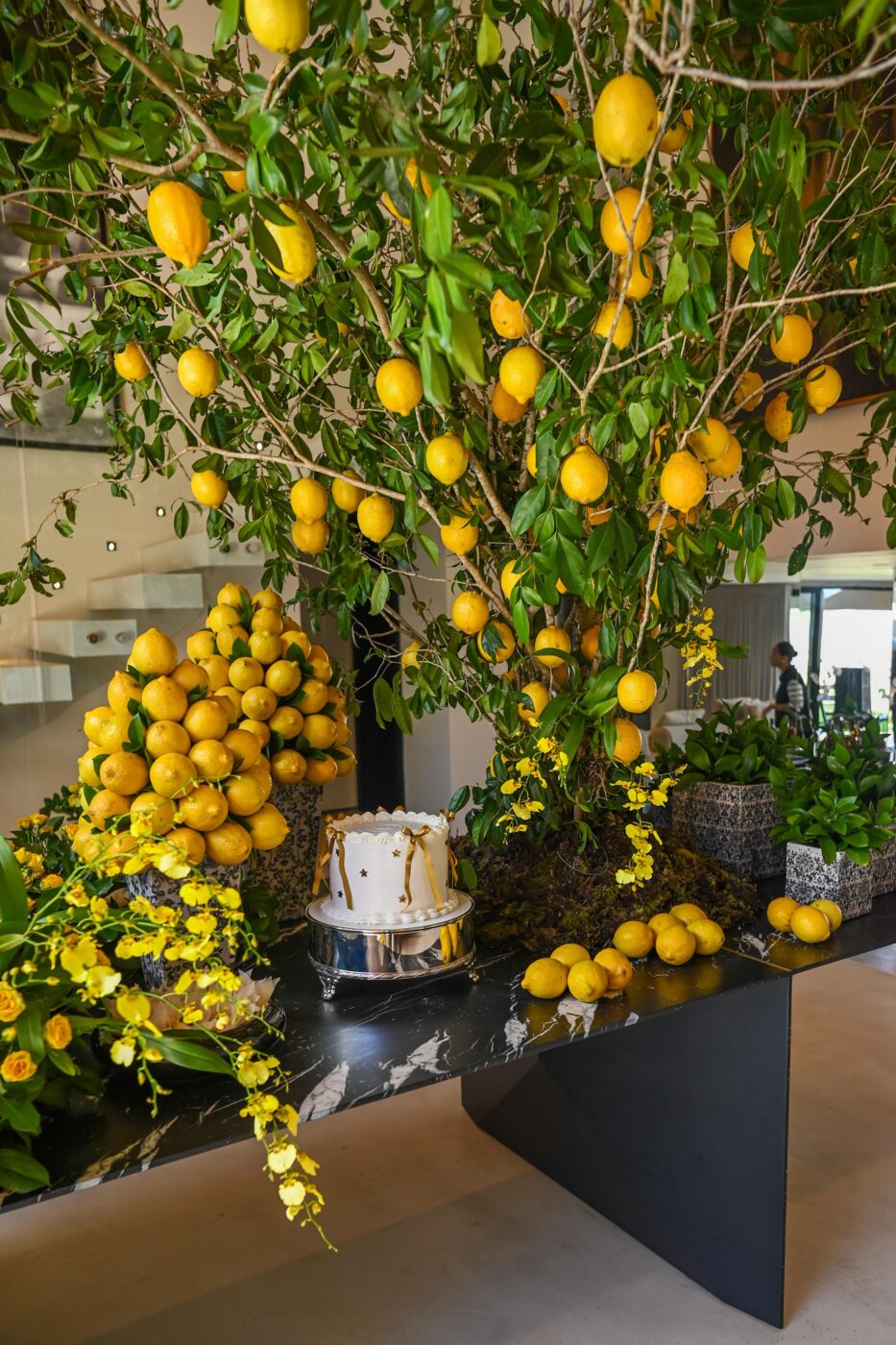 Decoração por Fernanda Brinço