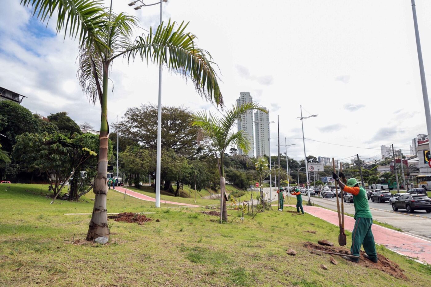 Salvador amplia arborização ao longo do BRT com novo plantio na Juracy Magalhães