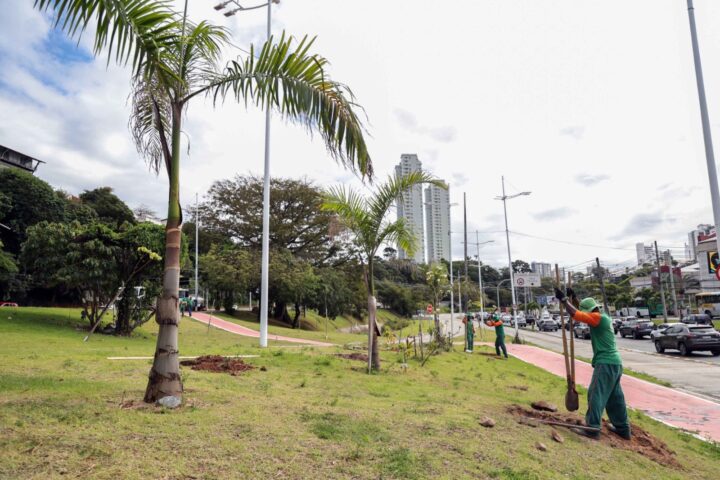 Salvador amplia arborização ao longo do BRT com novo plantio na Juracy Magalhães
