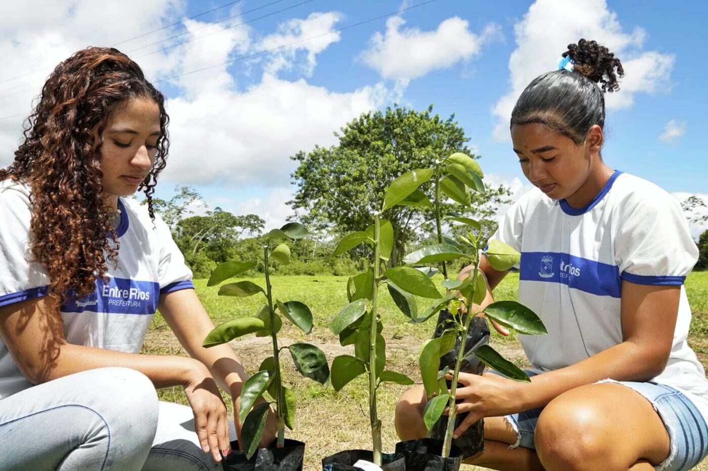 Bahia inaugura Unidade Experimental de citros no Litoral Norte para fortalecer produção regional
