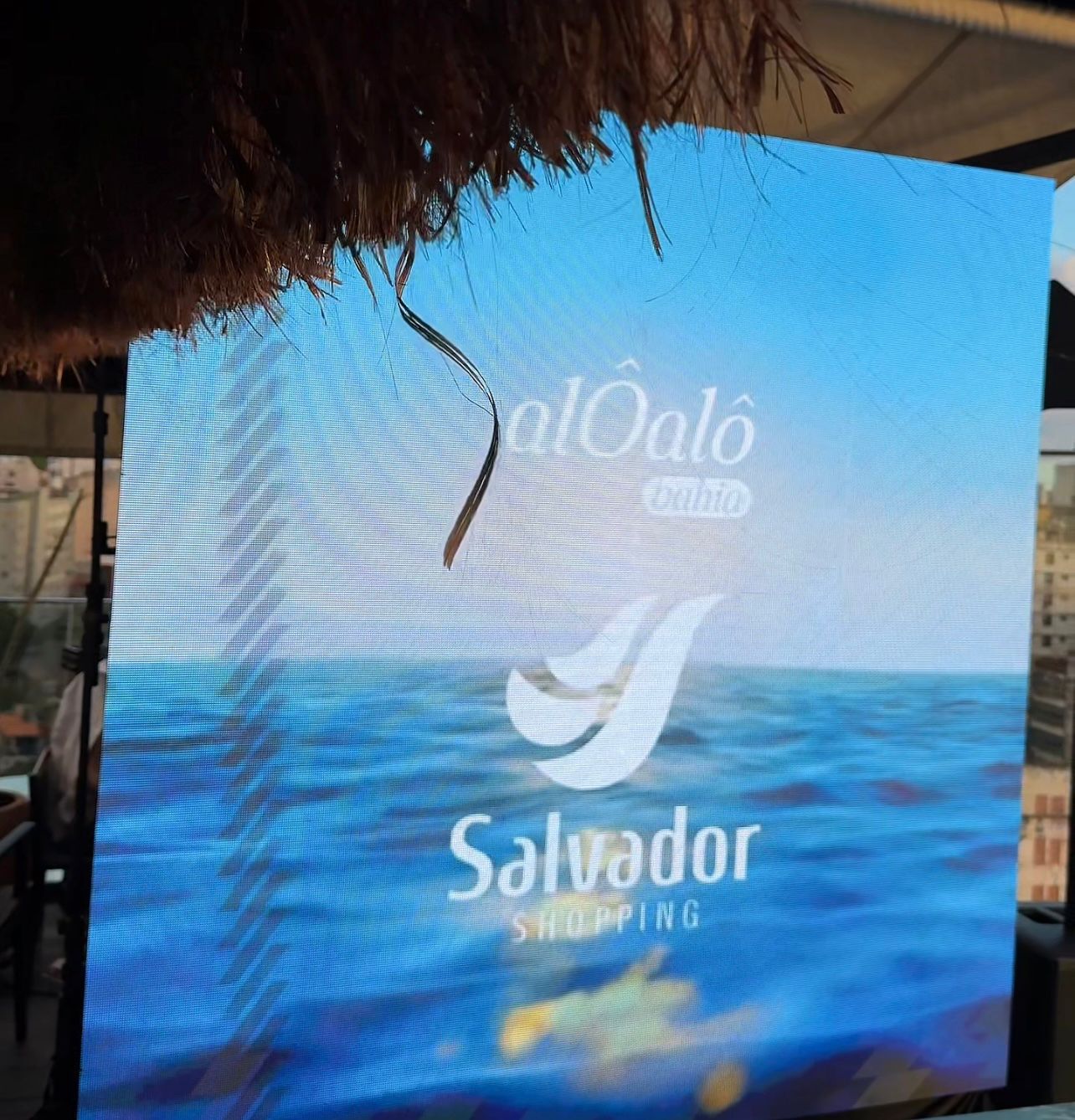 Salvador Solare 2025