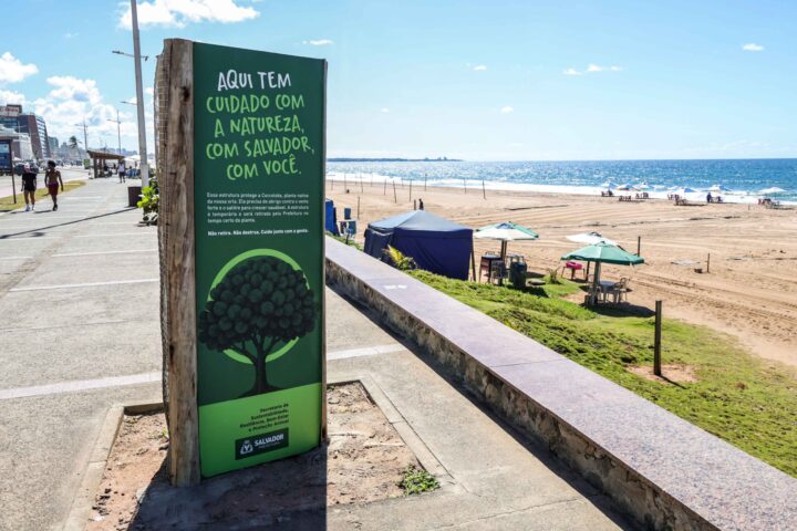 Prefeitura instala protetores para preservar mudas na orla de Salvador