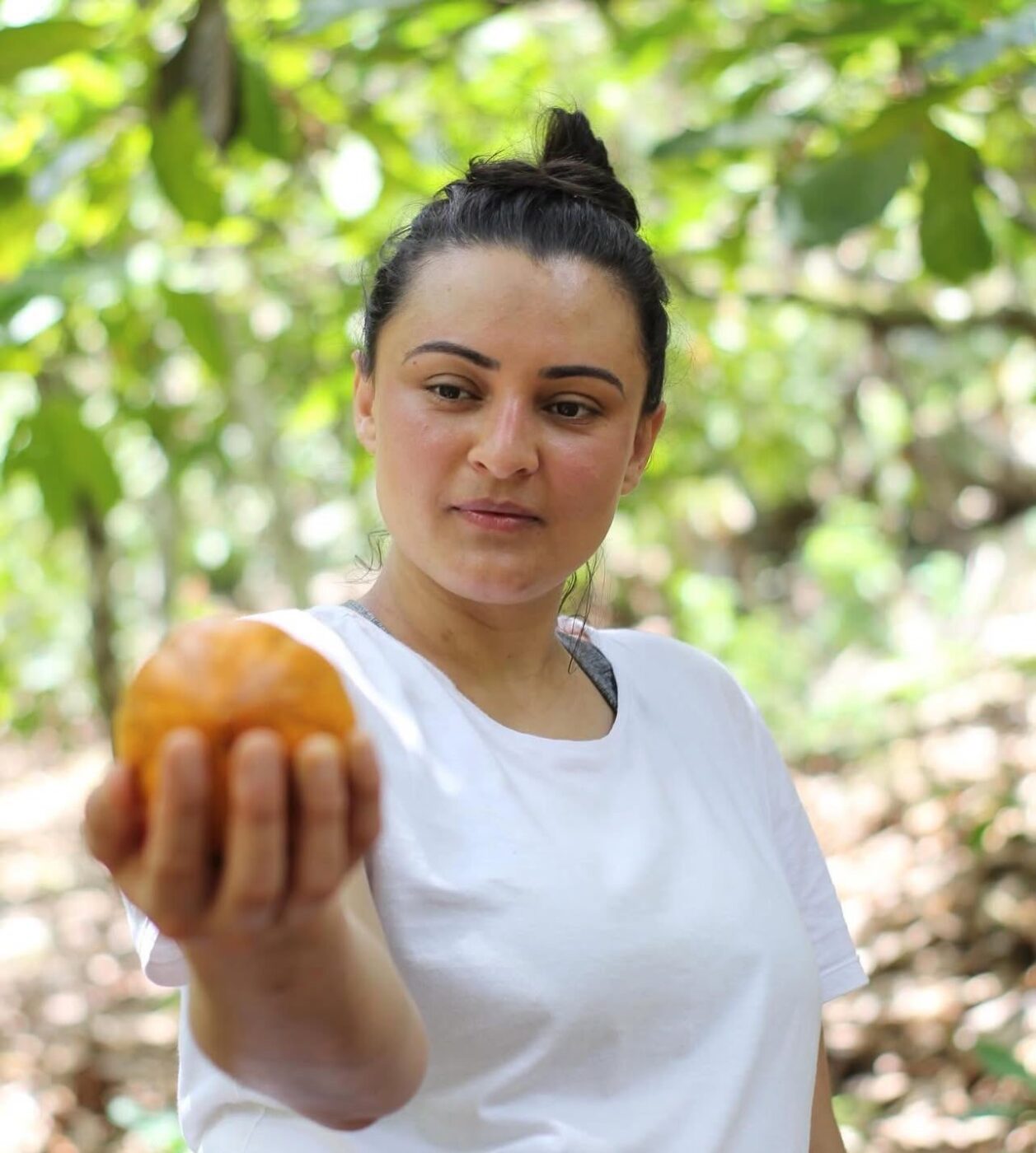Marca de chocolate fundada por baiana tem expansão aos EUA travada por tarifa de Trump