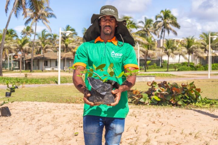 Salvador ultrapassa 12,5 mil mudas plantadas com ação na Praia do Flamengo