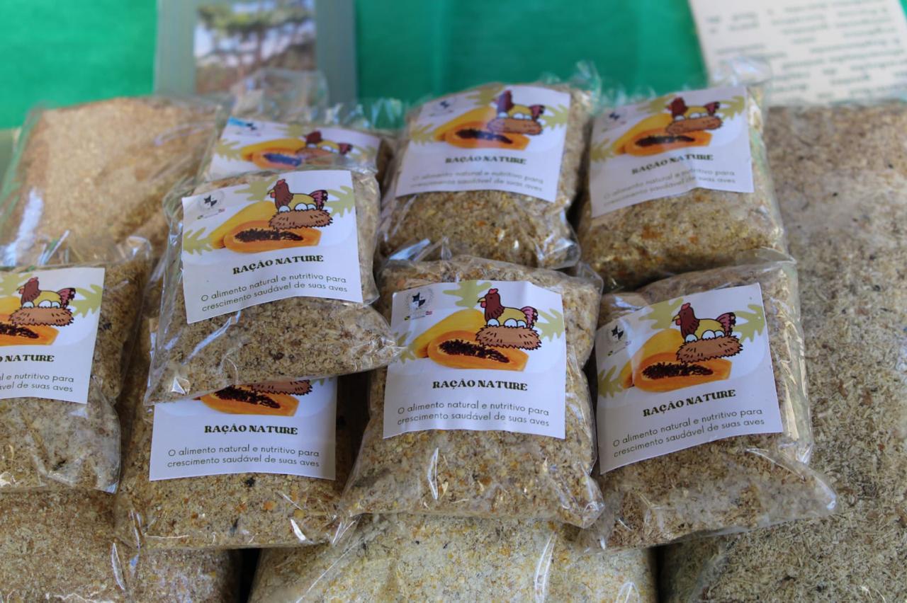Estudantes baianos inovam e produzem ração para aves à base do caule de mamoeiro