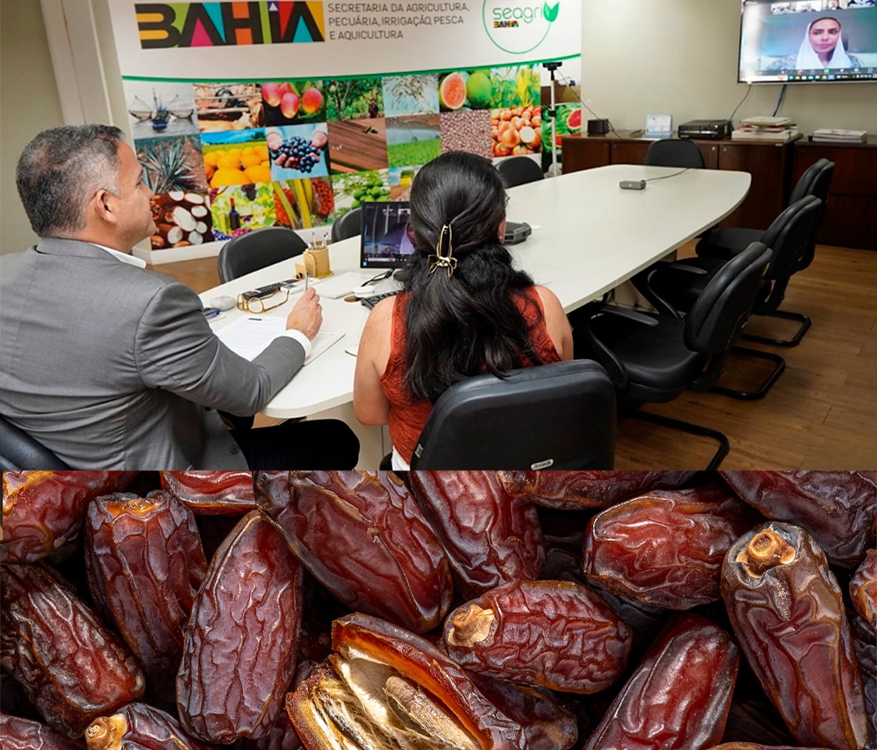 Bahia avança em parceria com Emirados Árabes para cultivo inédito de tâmaras no semiárido