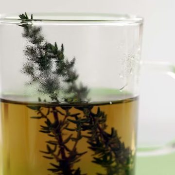 Tomilho: a planta medicinal que ajuda a aliviar gripe e dor de garganta