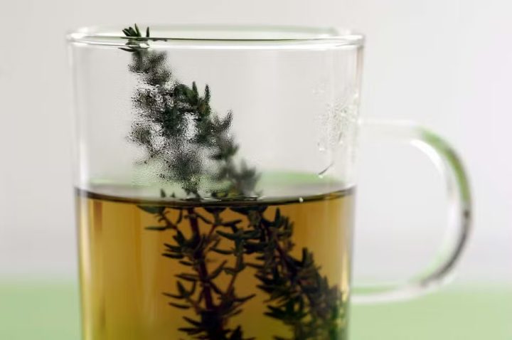 Tomilho: a planta medicinal que ajuda a aliviar gripe e dor de garganta
