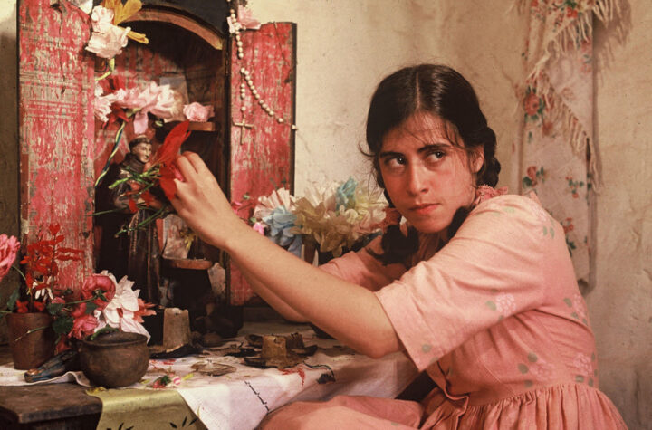 Premiado filme estrelado por Fernanda Torres ganha exibição em Salvador; saiba detalhes
