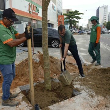 Salvador planta 17 novas árvores de grande porte na Pituba pelo programa Corredor Verde
