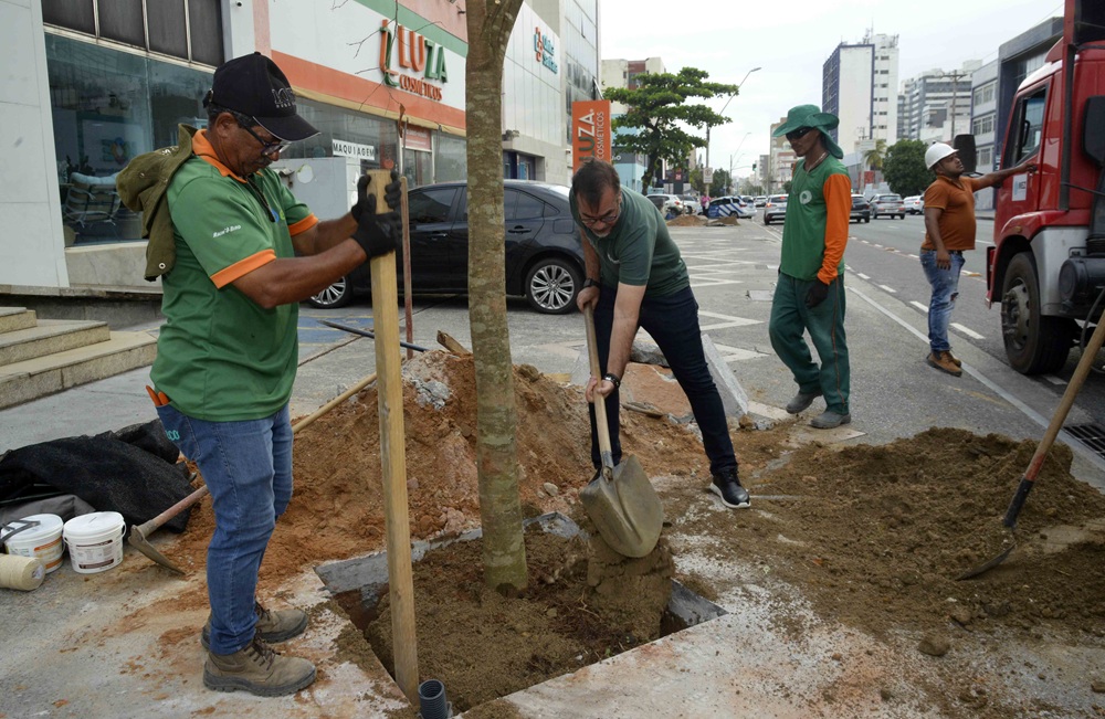 Salvador planta 17 novas árvores de grande porte na Pituba pelo programa Corredor Verde