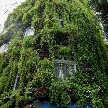 Parede verde da Secis ganha 1,5 mil mudas de flores para celebrar a primavera em Salvador