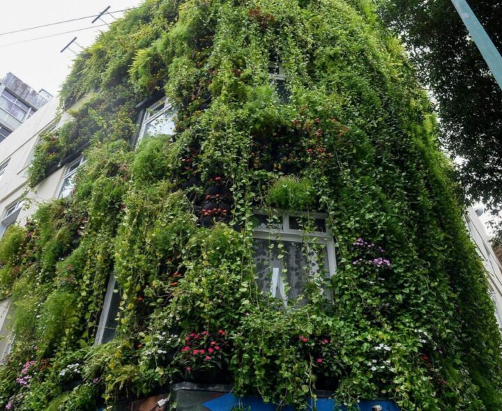 Parede verde da Secis ganha 1,5 mil mudas de flores para celebrar a primavera em Salvador