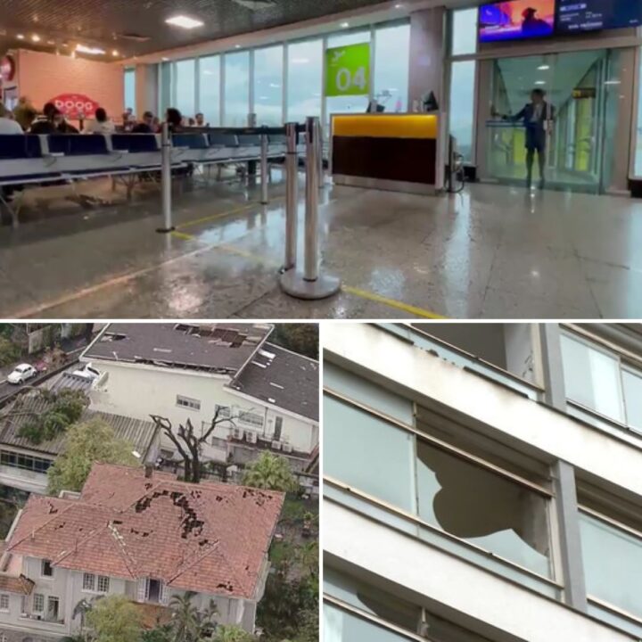 Gato levado pelo vento e aeroporto alagado: temporal provoca estragos em São Paulo