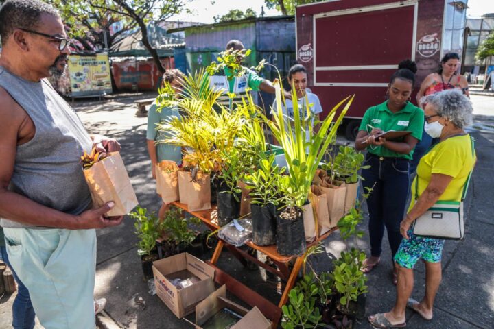 Salvador celebra o Dia da Árvore com distribuição de mil mudas da Mata Atlântica