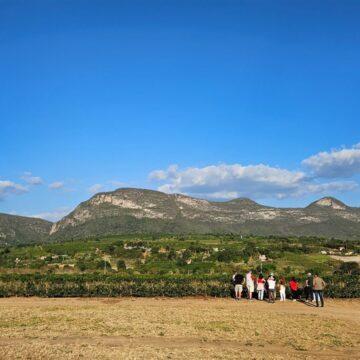Chapada Diamantina ganha Rotas Especiais com cafés, frutas vermelhas e turismo sensorial