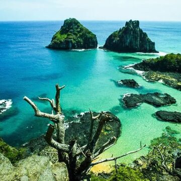 Ilhas do Nordeste são ‘laboratórios naturais’ de biodiversidade marinha, revela estudo internacional