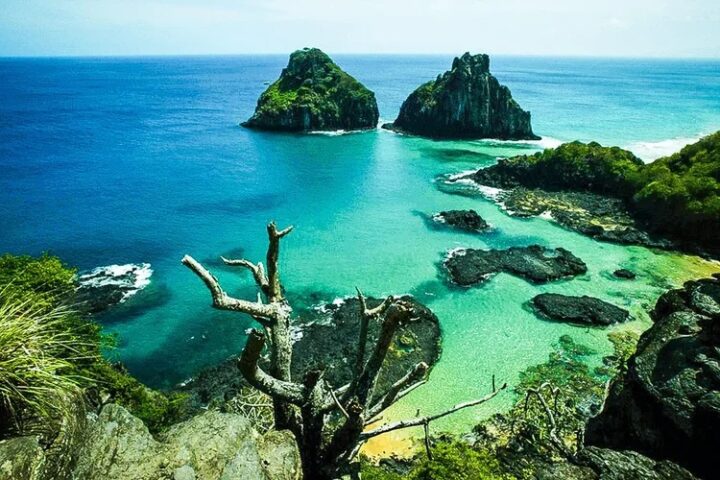 Ilhas do Nordeste são ‘laboratórios naturais’ de biodiversidade marinha, revela estudo internacional