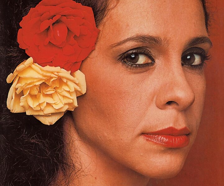 Divina e maravilhosa! Gal Costa completaria 80 anos nesta sexta (26)