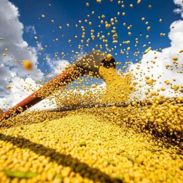 Economia do Nordeste cresce 2,4% no 1º semestre de 2025; Bahia lidera com 3,9%