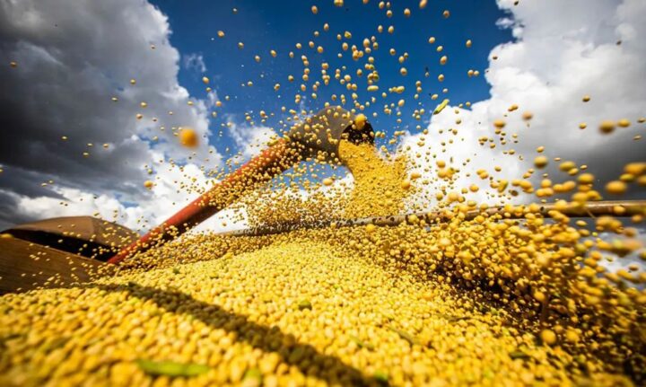Economia do Nordeste cresce 2,4% no 1º semestre de 2025; Bahia lidera com 3,9%