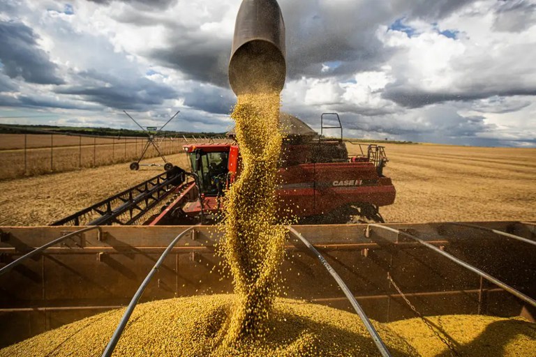 Produção de grãos na Bahia cresce 10,9% e puxa recorde nacional na safra 2024/25